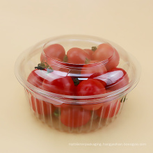 Custom Wholesale plastic disposable transparent fresh fruit packing container fruit box